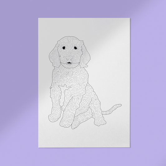 Lijntekening Dieren Illustratie